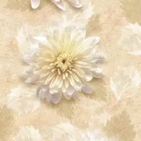 824 Хризантемы ПВХ 0,25х2,7 (0675)